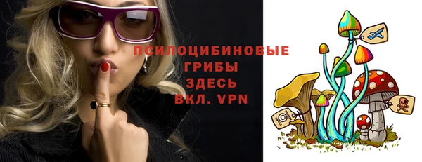 не бодяженный Елабуга