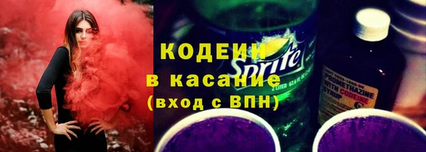 мет Ельня