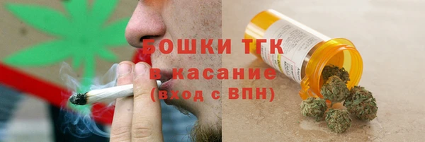 мет Ельня
