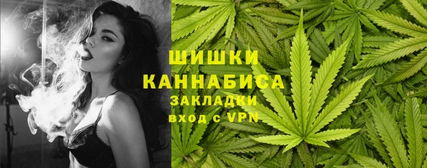 мет Ельня