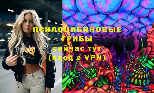 не бодяженный Елабуга