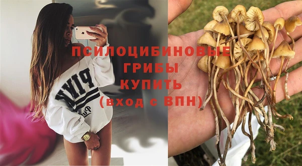 не бодяженный Елабуга
