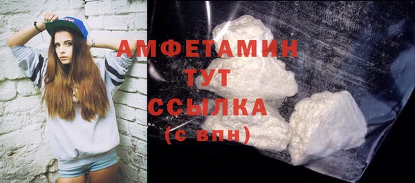 мет Ельня