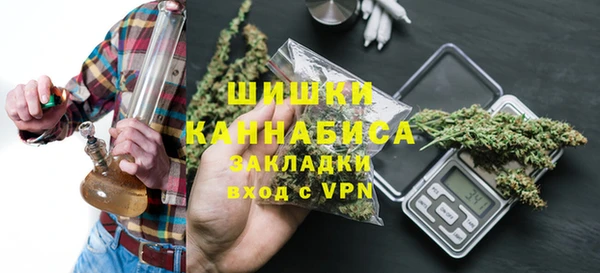 шишки Дмитров