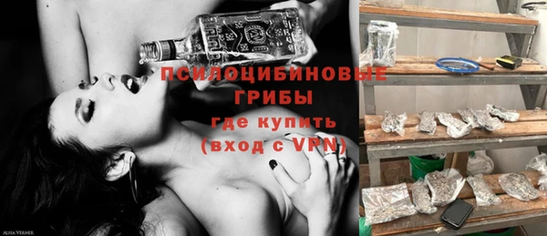 трава Елизово